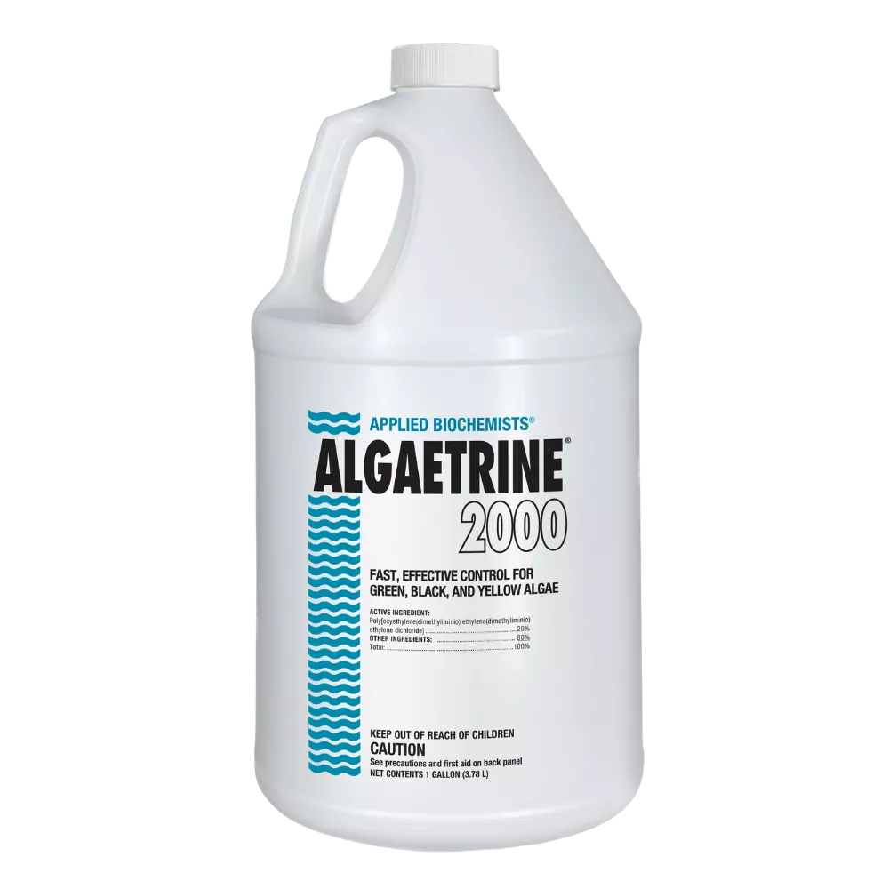A 1-gallon white jug of Algaetrine 2000 pool algaecide featuring cyan blue wavy graphics and bold black lettering.